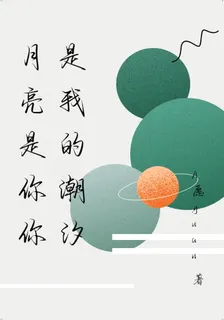 月亮是你你是我的潮汐 封面