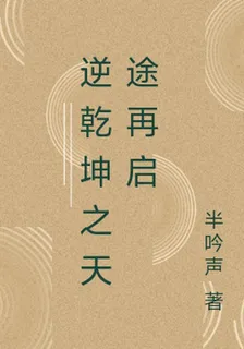逆乾坤之天途再啓 封面
