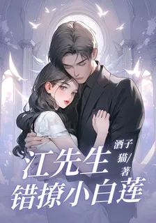 江先生錯撩小白蓮 封面