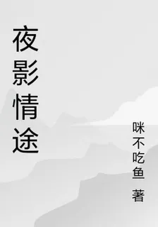 夜影情途 封面