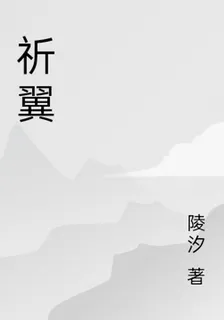 祈翼 封面