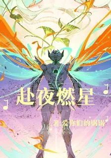 赴夜燃星 封面