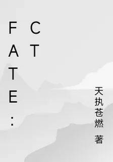 Fate：CT 封面
