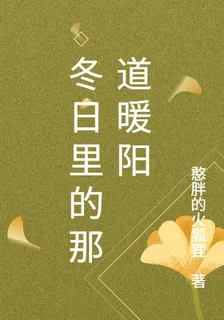 冬日裏的那道暖陽 封面