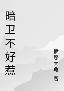 暗衛不好惹 封面