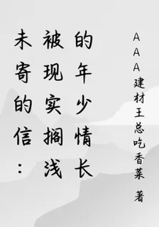 未寄的信：被現實擱淺的年少情長 封面