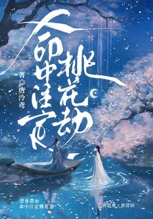命中註定桃花劫 封面