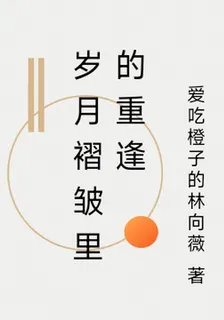 歲月褶皺裏的重逢 封面