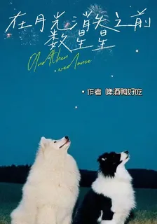 在月光消失之前數星星 封面