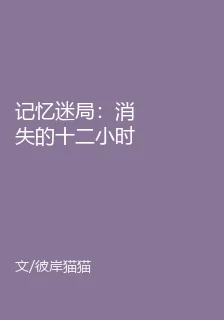 記憶迷局：消失的十二小時 封面