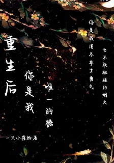 重生後你是我唯一的糖 封面