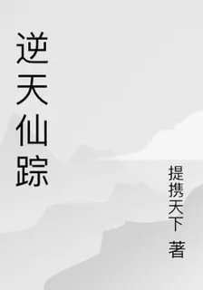 逆天仙蹤 封面
