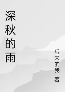 深秋的雨 封面