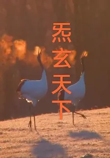 炁玄天下 封面