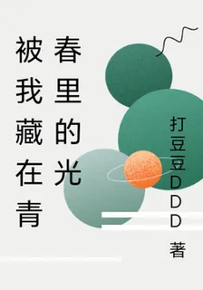 被我藏在青春裏的光 封面