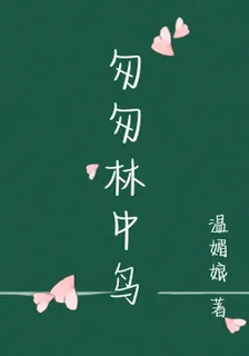 匆匆林中鳥 封面