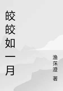 皎皎如一月 封面