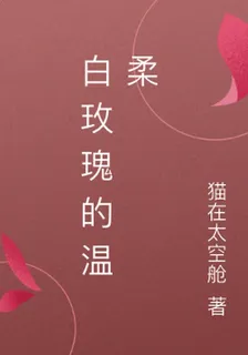 白玫瑰的溫柔 封面