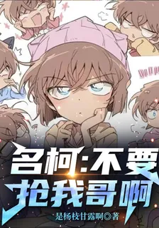 名柯：不要搶我哥啊 封面