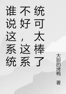 誰說這系統不好，這系統可太棒了 封面