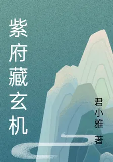紫府藏玄機 封面