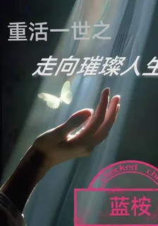 重活一世之走向璀璨人生 封面