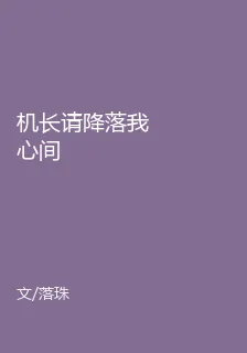 機長請降落我心間 封面
