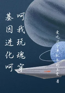 基因進化呵呵我玩魂穿 封面