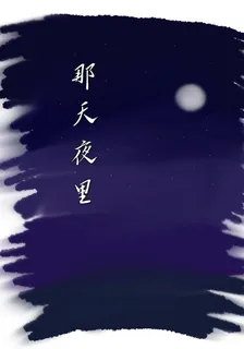 那天夜裏 封面