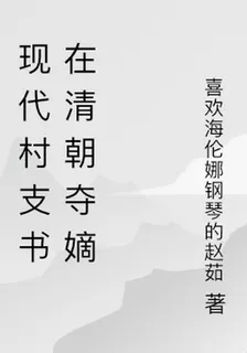 現代村支書在清朝奪嫡 封面