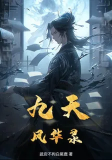 九天風華錄 封面