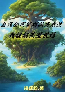 全民穿越空島求生，我被天道祝福 封面