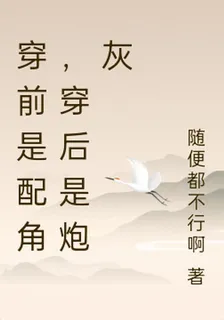 穿前是配角，穿後是炮灰 封面