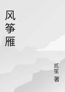 風箏雁 封面