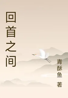 回首之間 封面