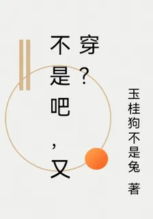 不是吧，又穿？ 封面