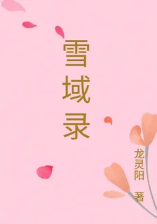 雪域錄 封面