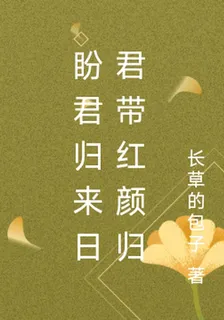 盼君歸來日君帶紅顏歸 封面