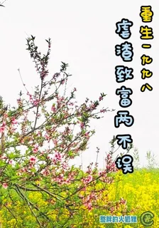 重生1998，虐渣致富兩不誤 封面