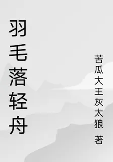 羽毛落輕舟 封面