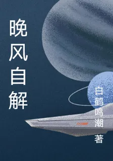 晚風自解 封面
