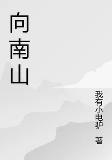 此間向南山 封面