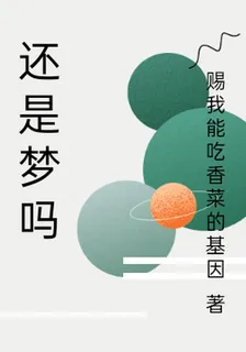 還是夢嗎 封面