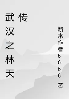 武漢之林天傳 封面