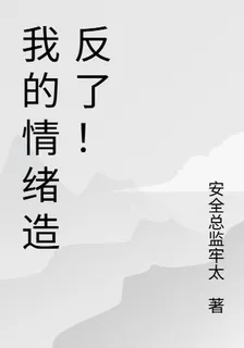 我的情緒造反了！ 封面