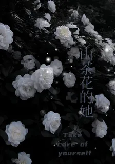 山茶花的她 封面