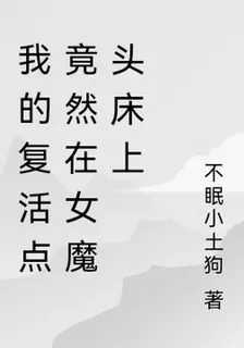 我的復活點竟然在女魔頭牀上 封面