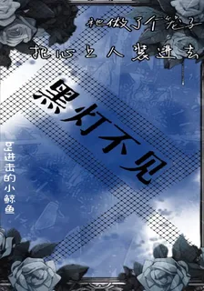 黑燈不見 封面