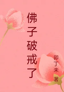 佛子破戒了 封面