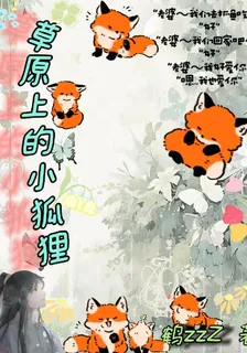 草原上的小狐狸 封面